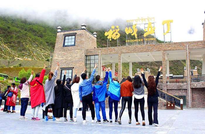 (图1)