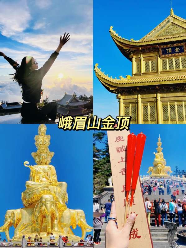 Made of money(图5)