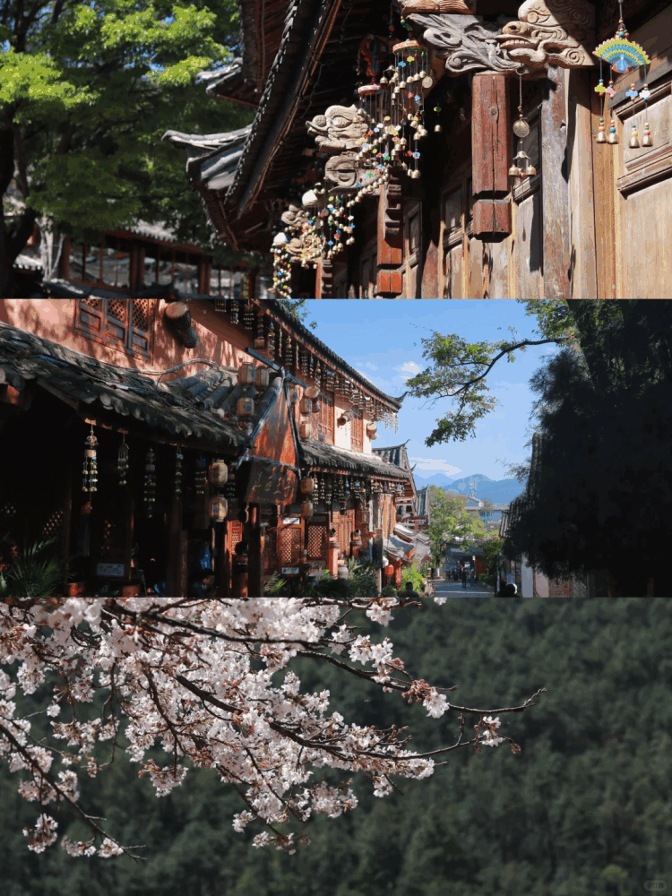 (图1)